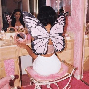 Pink Butterfly Wings